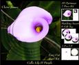 Floral - Calla Lily Purple Blush 2 + Insert & Tag