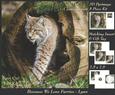 Because We Love Furries - Gorgeous Lynx + Insert & Tag