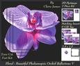 Floral - Beautiful Phalaenopsis Orchid Reflections 5 + Tag +