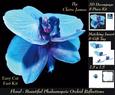 Floral - Beautiful Phalaenopsis Orchid Reflections 3 + Tag +
