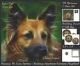 Because We Love Furries - Fantasy German Shepherd Insert+tag