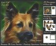 Because We Love Furries - Fantasy German Shepherd Insert+tag