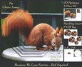 Because We Love Furries - Rare Red Squirrel + Insert & Tag