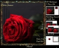 Botanical & Floral 3 - Framed Beautiful Red Rose + Insert & Tag