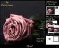 Botanical & Floral 3 - Beautiful Dusky Rose + Insert & Tag