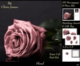 Botanical & Floral 3 - Beautiful Dusky Rose + Insert & Tag