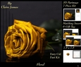 Botanical & Floral 3 - Beautiful Golden Rose + Insert & Tag