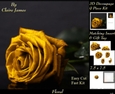 Botanical & Floral 3 - Beautiful Golden Rose + Insert & Tag