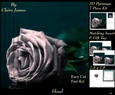 Botanical & Floral 3 - Beautiful Silver Rose + Insert & Tag