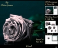 Botanical & Floral 3 - Beautiful Silver Rose + Insert & Tag