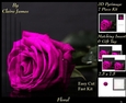 Botanical & Floral 3 - Beautiful Pink Rose + Insert & Tag