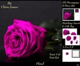 Botanical & Floral 3 - Beautiful Pink Rose + Insert & Tag