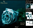 Botanical & Floral 3 - Beautiful Teal Rose + Insert & Tag