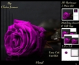 Botanical & Floral 3 - Beautiful Purple Rose + Insert & Tag