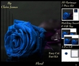 Botanical & Floral 3 - Beautiful Blue Rose + Insert & Tag