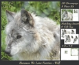 Because We Love Furries - Beautiful Wolf 3D Decoupage + Insert & Tag