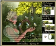 The Air Goddess - Seasons - Spring Pyrimage/Pyramid 2 + Insert & Tag
