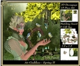 The Air Goddess - Seasons - Spring 3D Decoupage 2 + Insert & Tag