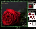 Botanical & Floral - Beautiful Framed Rose 2 - Decoupage + Insert & Tag