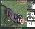 Furry Friends & Familiars - Dog Play 1 - Pyrimage/pyramid + Insert & Tag
