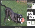 Furry Friends & Familiars - Dog Play 1 - Decoupage + Insert & Tag