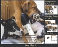 Furry Friends & Familiars - Dog Play 2 - Pyrimage/pyramid + Insert & Tag