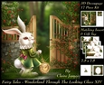 Fairy Tales - Wonderland Through The Looking Glass 14 - Special 3D Decoupage + Insert & Tag