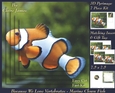 Because We Love Vertebrates - Coral Reef Tropical Marine Clown Fish - Pyrimage/pyramid + Insert & Tag