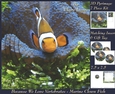Because We Love Vertebrates - Coral Reef Tropical Marine Clown Fish 3 - Pyrimage/pyramid + Insert & Tag