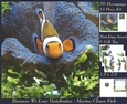 Because We Love Vertebrates - Coral Reef Tropical Marine Fish Clown Fish 3 - Decoupage + Insert & Tag