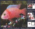 Because We Love Vertebrates - Coral Reef Tropical Marine Cichlid Fish - Decoupage + Insert & Tag