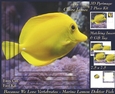 Because We Love Vertebrates - Coral Reef Tropical Marine Lemon Doktor Fish - Pyrimage/pyramid + Insert & Tag