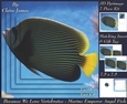 Because We Love Vertebrates - Coral Reef Tropical Marine Emporer Angel Fish - Pyrimage/pyramid + Insert & Tag