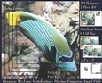 Because We Love Vertebrates - Coral Reef Tropical Marine Emporer Angel Fish 2 - Pyrimage/pyramid + Insert & Tag