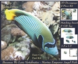 Because We Love Vertebrates - Coral Reef Tropical Marine Emporer Angel Fish 2 - Decoupage + Insert & Tag