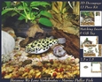 Because We Love Vertebrates - Coral Reef Tropical Marine Puffer Fish - Decoupage + Insert & Tag