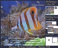 Because We Love Vertebrates - Coral Reef Tropical Marine Fish - Pyrimage/pyramid + Insert & Tag