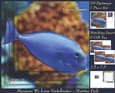 Because We Love Vertebrates - Coral Reef Tropical Marine Fish - Pyrimage/pyramid + Insert & Tag