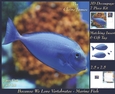 Because We Love Vertebrates - Coral Reef Tropical Marine Fish - Decoupage + Insert & Tag