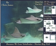 Because We Love Vertebrates - Coral Reef Tropical Marine Ray Fish - Decoupage + Insert & Tag