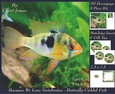 Because We Love Vertebrates - Coral Reef Tropical Marine Butterfly Cichlid Fish - Decoupage + Insert & Tag