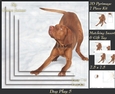 Furry Friends & Familiars - Dog Play 5 - Pyrimage/pyramid + Insert & Tag