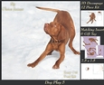 Furry Friends & Familiars - Dog Play 5 - Decoupage + Insert & Tag