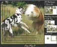 Furry Friends & Familiars - Dog Play 6 - Pyrimage/pyramid + Insert & Tag