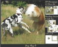 Furry Friends & Familiars - Dog Play 6 - Decoupage + Insert & Tag