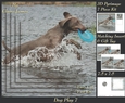 Furry Friends & Familiars - Dog Play 7 - Pyrimage/pyramid + Insert & Tag