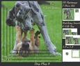 Furry Friends & Familiars - Dog Play 8 - Pyrimage/pyramid + Insert & Tag