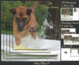 Furry Friends & Familiars - Dog Play 9 - Pyrimage/pyramid + Insert & Tag
