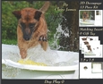 Furry Friends & Familiars - Dog Play 9 - Decoupage + Insert & Tag