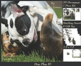 Furry Friends & Familiars - Dog Play 10 - Decoupage + Insert & Tag